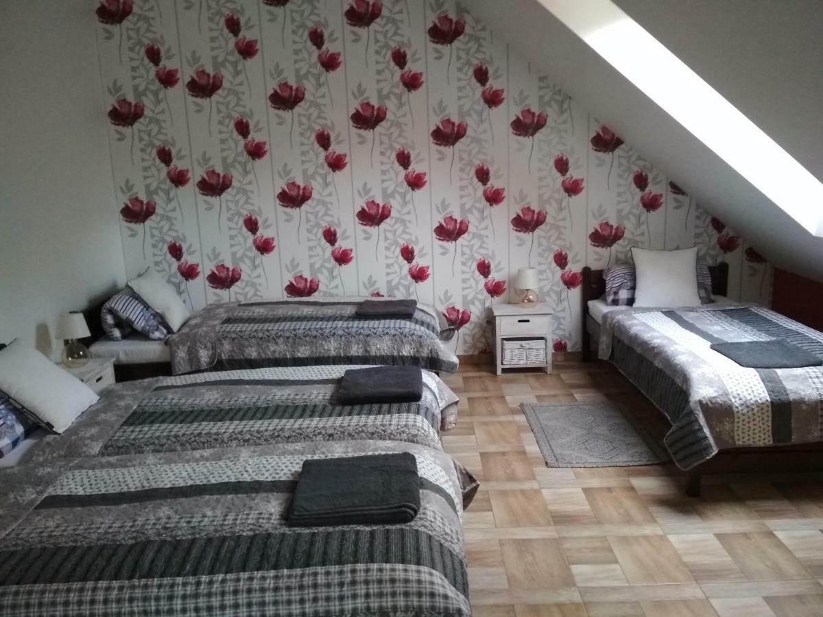 Koci Grzbiet Bauernhof *