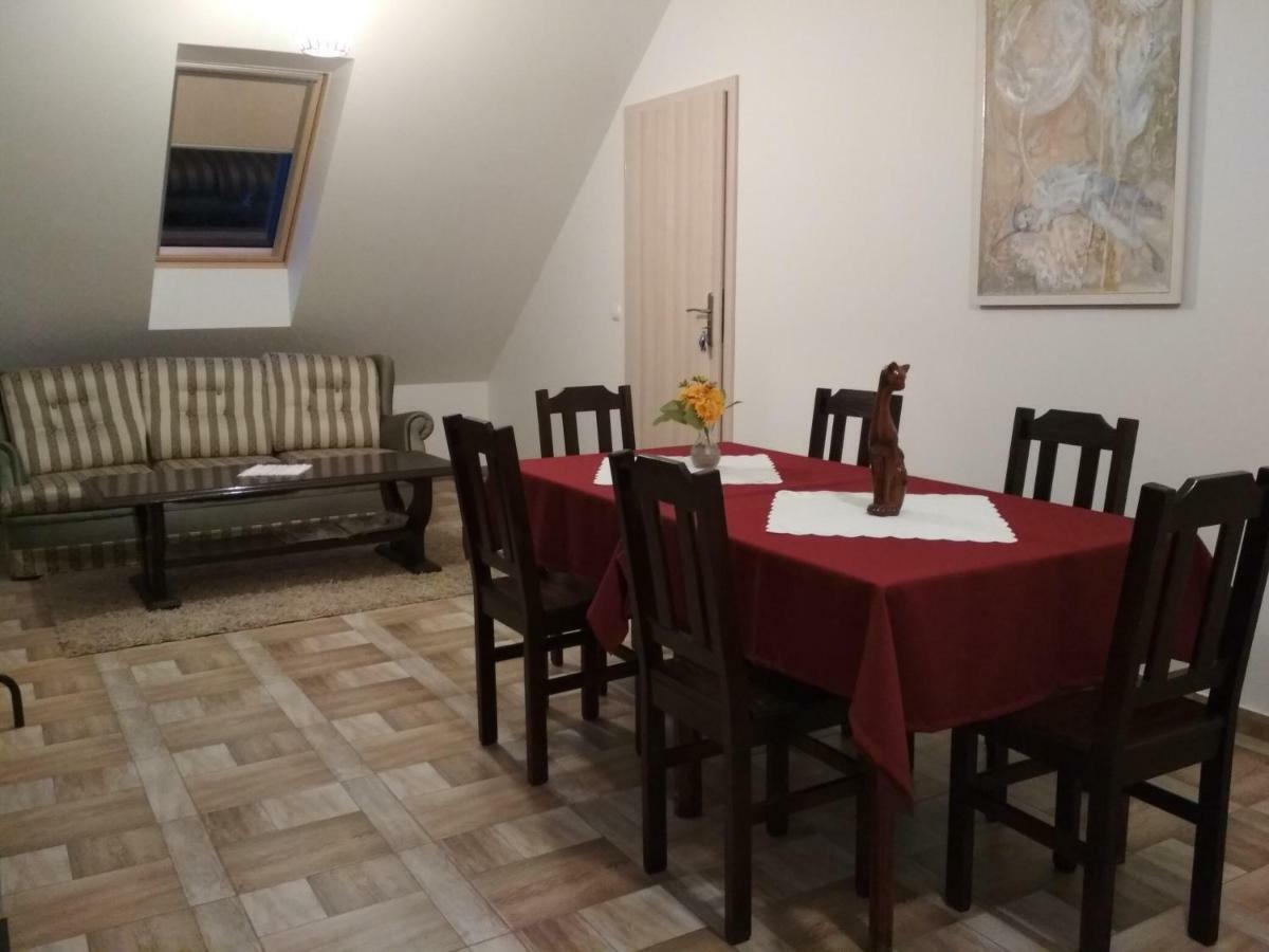 Koci Grzbiet